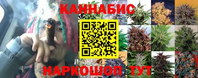 мдпв Владимир
