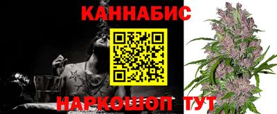 мдпв Владимир