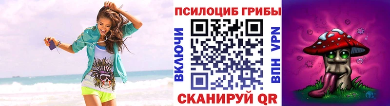 kraken ССЫЛКА  Асино  Псилоцибиновые грибы MAGIC MUSHROOMS 
