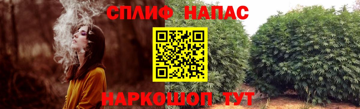 Канабис индика Асино